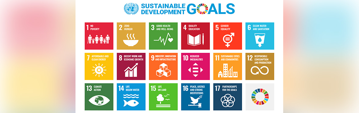 Beyond Good Intentions: Why SDG Prioritization Is the Missing Link in Corporate Sustainability
