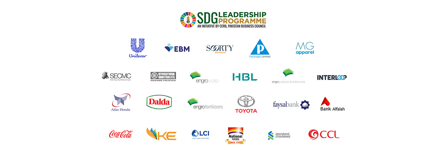 SDG Leadership Programme