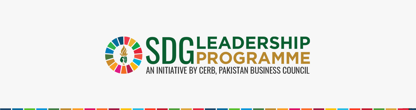 SDG Leadership Programme